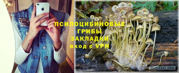 PSILOCYBIN Балабаново