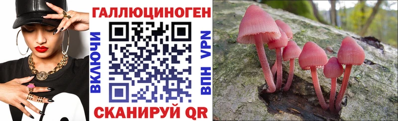 Псилоцибиновые грибы прущие грибы  Велиж 